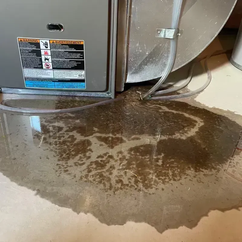 Appliance Leak Cleanup in Allouez, WI